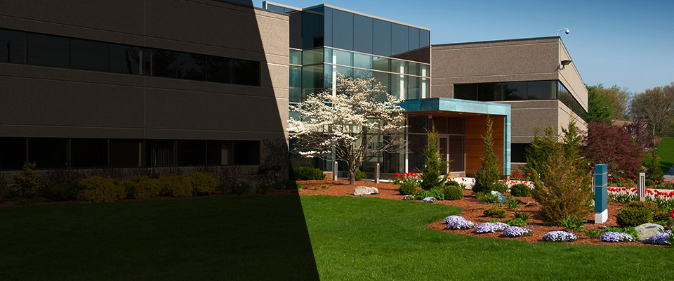 Fordland Landscapers