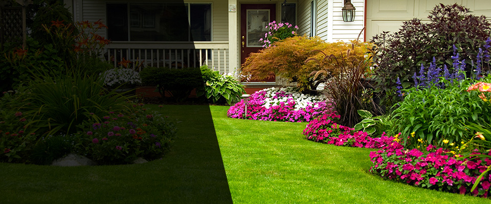 Fordland Landscapers
