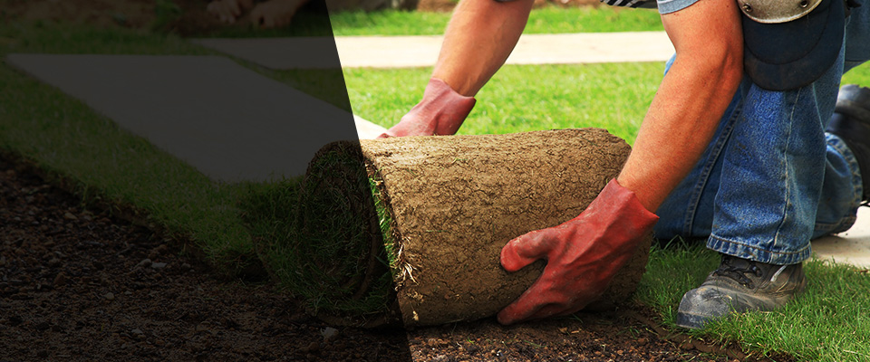 Fordland Landscapers